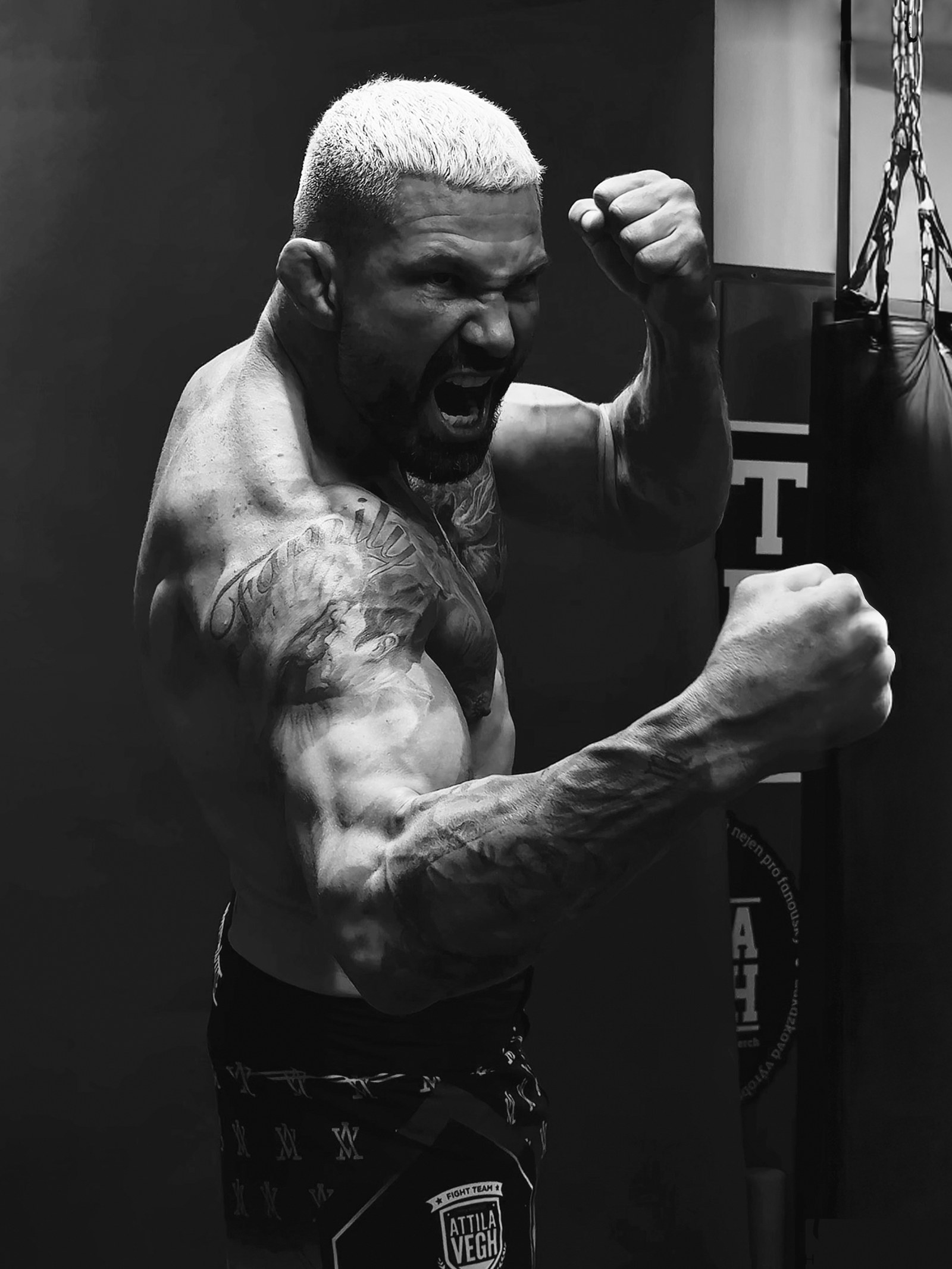 Attila Végh